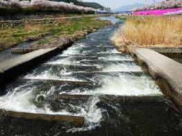 해양수산부, 아름다운 어도(魚道)를 사진과 영상으로 만나보세요! 기사 이미지